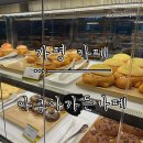 아쿠아가든카페 양재점 | [가평 카페] 알록달록 물고기가 가득한 이색 카페 ‘아쿠아가든’ 가평점 내돈내산 방문 후기.