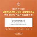 클리어동물병원 이미지