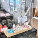 제주담스파빌 | 제주 협재해수욕장 근처 가성비 좋은 숙소 제주담스파빌 아담 객실 후기