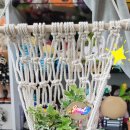 양감중학교 이미지