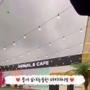 해피애니멀 이미지