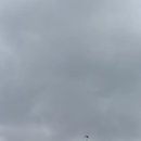 섬진강순환2 이미지