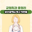 포미치과의원 | 부산광역시 북구 덕천동 교정치과 총정리