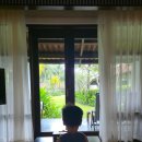 아남농장 | 10월말 나트랑 2탄 더아남 리조트(가든뷰빌라, 조식...풀&amp;센터풀, 농장체험, 키즈클럽, 더아남버거, 안...