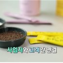 테헤란컴퍼니그룹