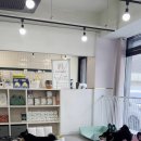 두류댕댕 이미지