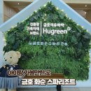 금호화순리조트 콘도미니엄 | 아이랑 가볼만한 곳 | 화순 금호리조트 내부시설과 객실 이용 후기