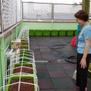 시청중앙어린이집 이미지