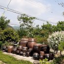 신농당한약국 이미지