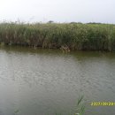 시화호수로 이미지