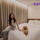 월드모텔 | [서울/모텔/가격/후기] 잠실하이브 잠실하이브, 무료 조식과 편리한 위치