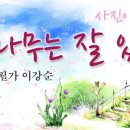 살구나무는 잘 있는지요(2014)_이강순 이미지