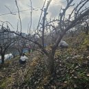 대훈농장 이미지