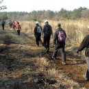 들길 따라서 이미지