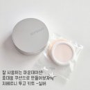 고용기 | 잘 사용하는 파운데이션 휴대용 쿠션으로 만들어보자! - '지베르니' 투고 키트 / 내돈내산 후기(+링크)