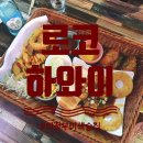 오케이약국 | 의정부/로코하와이_친화력 좋은 강아지가 반겨주는 의정부 애견동반 술집