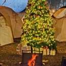 카페 문라이트(cafe moonlight) 이미지