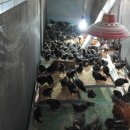 (주)충인 이미지