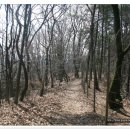 내곡동304 이미지