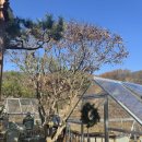 테라스의 아침 이미지