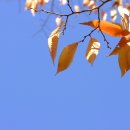 약선당한의원 이미지