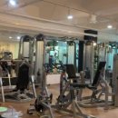 몸에 봄을 피우다 이미지