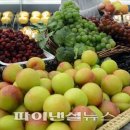 과일 이미지