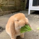 성지빌딩 이미지