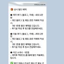 위드미펫살롱 | [W5. '메리위드미' 축의대 대행업체 계약후기]