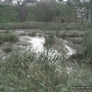 원종1주민지원센터 이미지