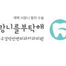 사랑니를부탁해치과 이미지