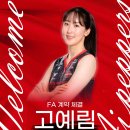고예림도 뺐겨버린 현대건설 배구단 이미지