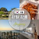61 | [강원 강릉 / 5월] 2박 3일 여행코스 가볼만한 곳 황금연휴 국내 여행지 숙소 포함 - DAY1