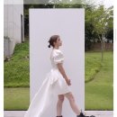상록난원 | [Wedding Ep.12] 내가 보고 고민하려고 정리한 야외스냅 셀프웨딩드레스