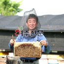 여주꿀벌농원