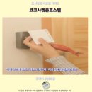 아세안문화박물관 | 핫야이 숙소 추천 코크사멧춘호스텔 후기 가성비 최고