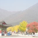 조욱 선생묘 이미지