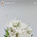 W2. 플래너 :: 베리굿웨딩 방민선 플래너 계약_부케 이쁜 플래너 추천 (1달차 후기)