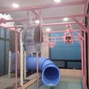 순진한삼겹살 | 남해 가족여행 숙소 추천, 칠월키즈풀빌라 남해금송점 1박2일 내돈내산 후기