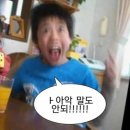 마이럽피치 | 마음은 10살 몸은 40세