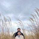 무무별장 이미지