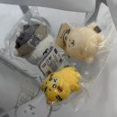 성수 나가노마켓 서울 상설 매장 후기 (농담곰, 치이카와, 나가노 수족관) + 두쫀쿠♡