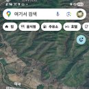 초하루