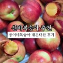 웅이네 농장 | 신비복숭아 추천 웅이네복숭아 후기 맛 보관 후숙방법