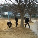 봉정초교 이미지