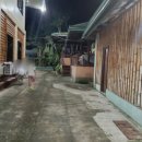 반딧불이 | 보홀 자유여행 조인 반딧불이 저녁 투어 후기