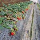 진형농장 이미지