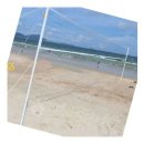 배구대