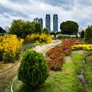 태화강국가정원 이미지