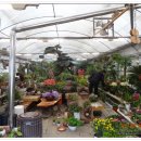 봄마중(2월에는) 이미지